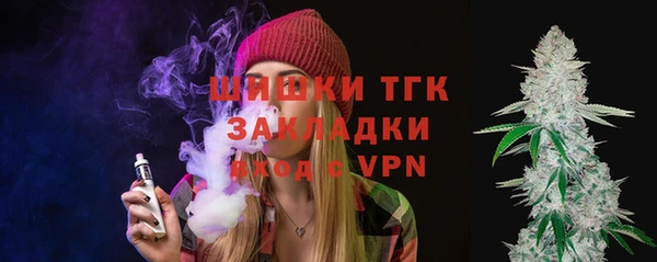 прущие грибы Заполярный