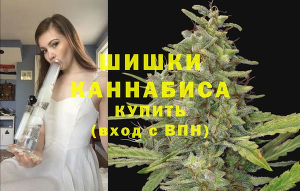 амф Няндома