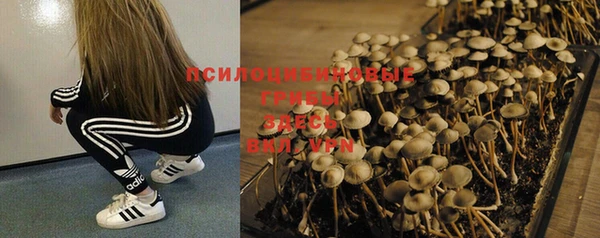 мескалин Нязепетровск