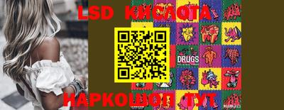 шишки Беслан