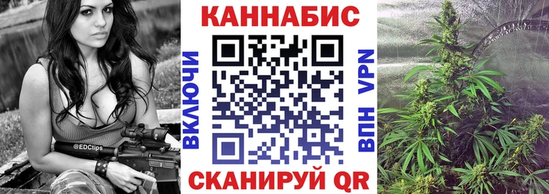 Каннабис планчик Краснознаменск
